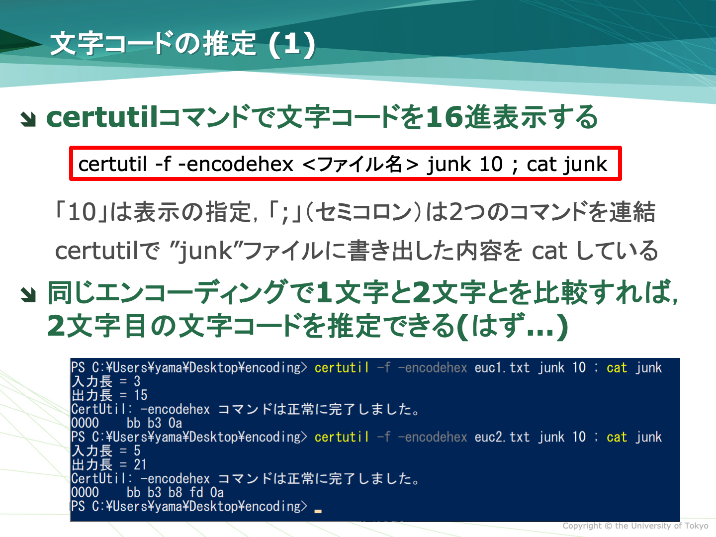 certutilコマンドによる文字コードの表示