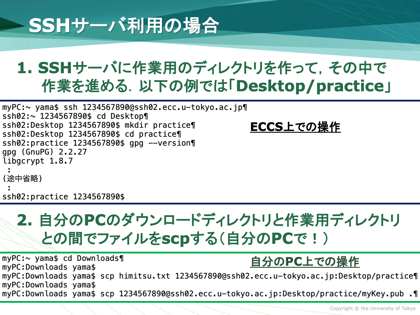 リモートシェルの利用