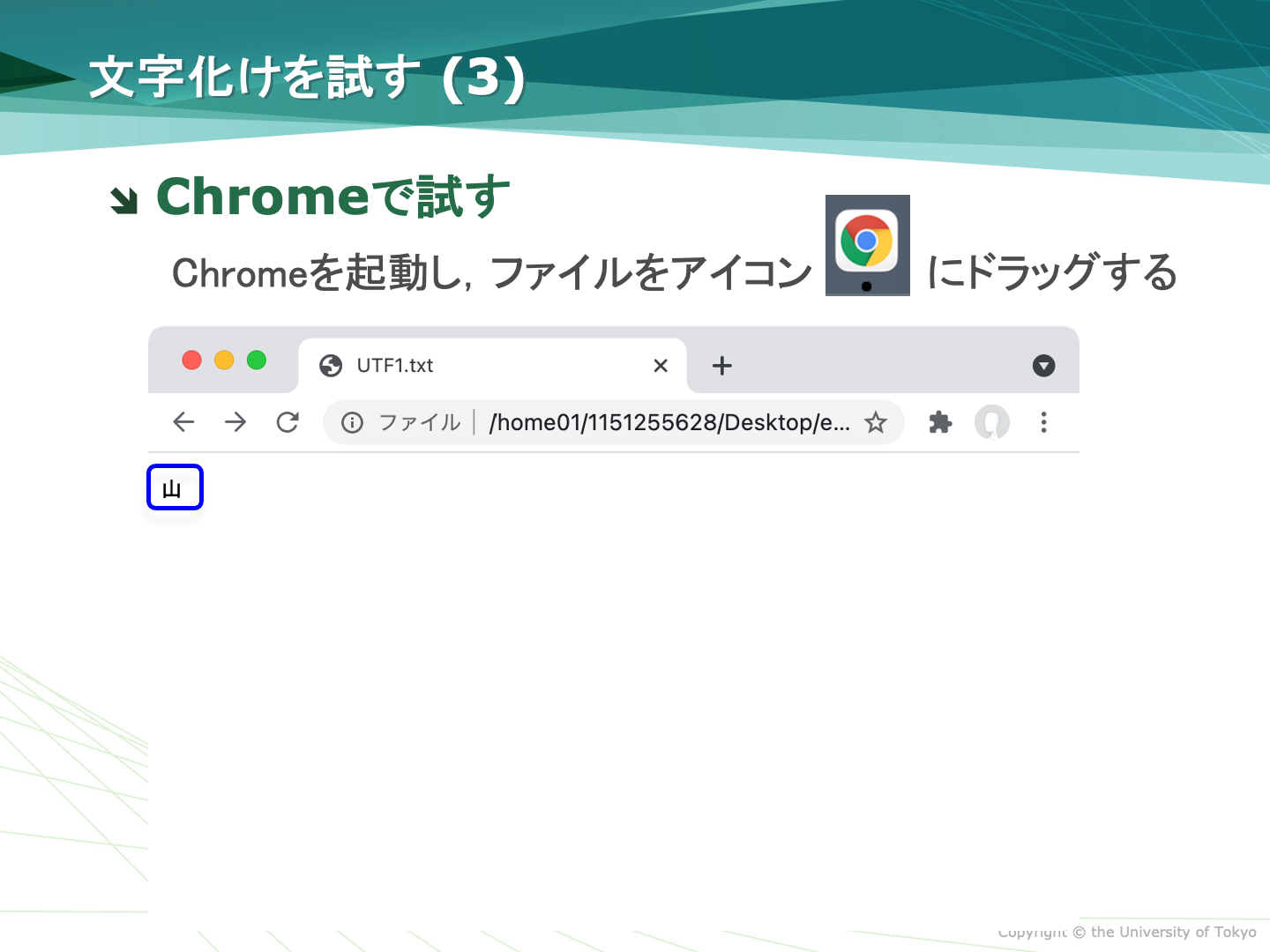 Chrome$B$NJ8;z2=$1(B