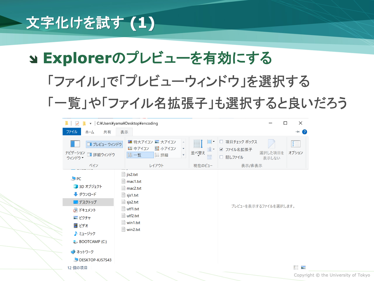 Explorerのプレビュー有効化